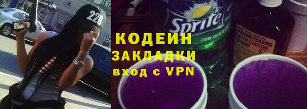 молекула духа Арсеньев