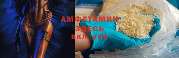 молекула духа Арсеньев
