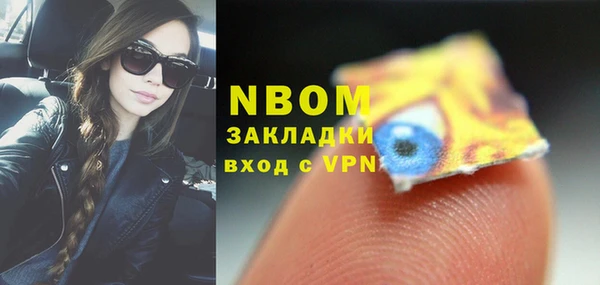 молекула духа Арсеньев