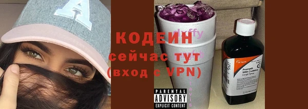 молекула духа Арсеньев