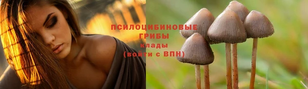 молекула духа Арсеньев