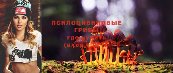 спайс Аркадак